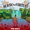 Sueño de Virtud - Pure Negga