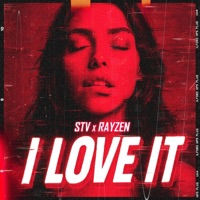 I Love It - Single - STV & RAYZEN