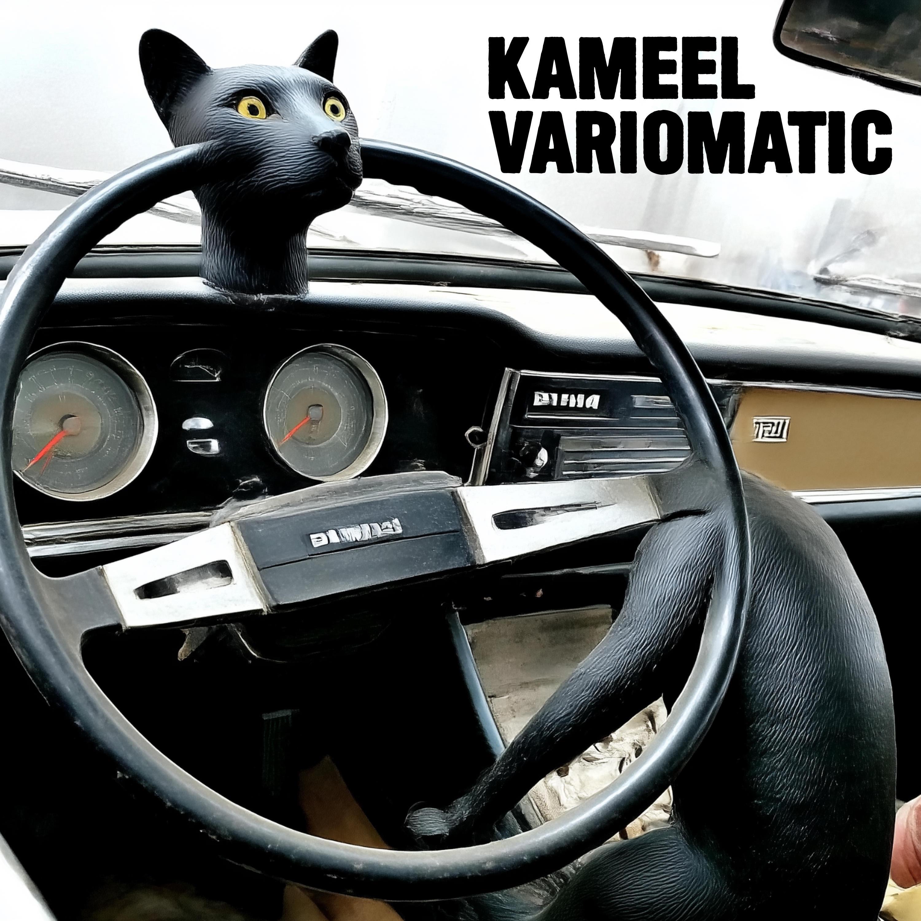 Variomatic - Single