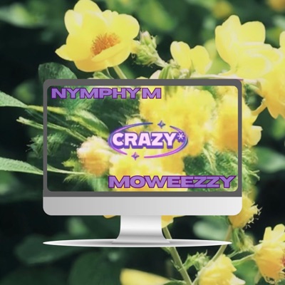 Crazy (feat. Moweezzy) - Single