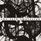 Crepuscular - The Folk Implosion lyrics