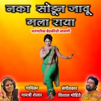 Naka Sodun Jau Mala Raya (feat. Gayatri Shelar) - Single - Vishal Mohite