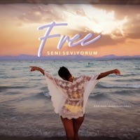 Free (Seni Seviyorum) (feat. Info) - Single - Rominah, Alejandro Flores & Max Bitov