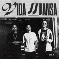 Vida Mansa - Single - MC Tairon, Mc Dudu HR & Dj Pkzin