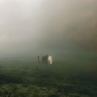 Phone - Single - nte & zivve