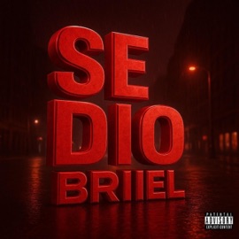 SE DIO (feat. Wave Money Records) BriielTmF