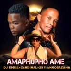 Amaphupho Ame - Single