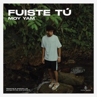 Fuiste Tú - Single - Moy Yam & SSNTY
