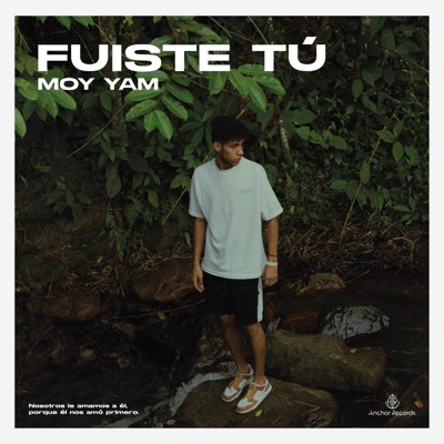 Fuiste Tú - Single