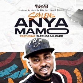 Anyamamo (feat. Sleenga & K. Dubb) Soklems