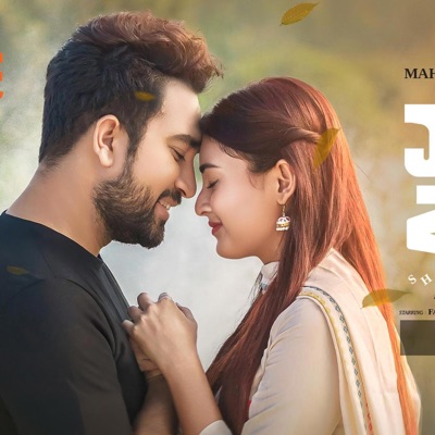 Shei Tumi Tai - Single