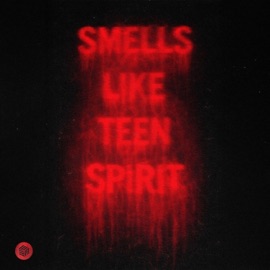 Smells Like Teen Spirit Nic Johnston