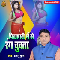 Pichakari Me Se Rang Chuwata - Single - Shubham Gupta