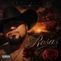 Rosas 