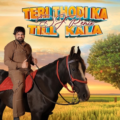 Teri Thodi Ka Till Kala (DJ Remix) - Single