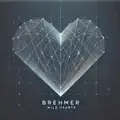 Wild Hearts