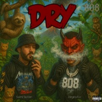 DRY (feat. Sami Sultán) - Single - JorgitoALC
