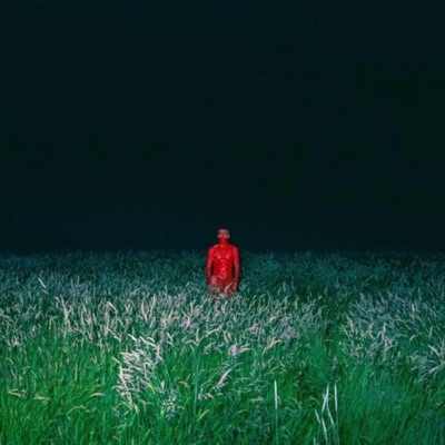 Les Oiseaux - Single