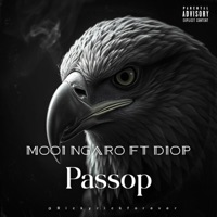 Passop - Single - Mooi Ngaro