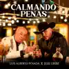 Calmando Penas