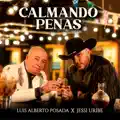 Calmando Penas