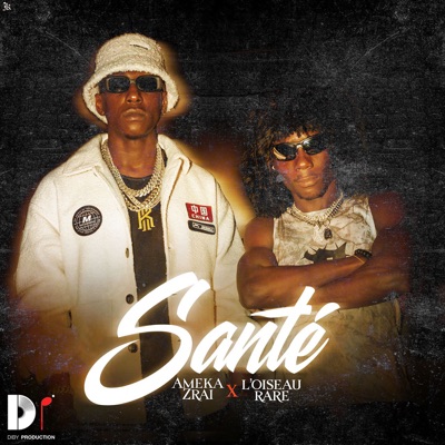 Song - Santé - Ameka Zrai & L'Oiseau Rare