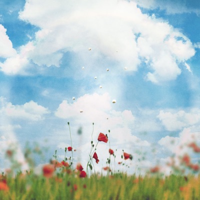 Iridescence - Single