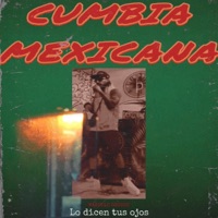 Lo dicen tus ojos - Single - MAGRO332