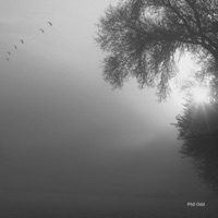 Collapse and rise - Single - Phil Odd