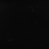 Straight Through the Heart - Single - Longlost