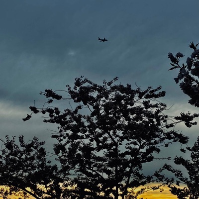 How Life Goes - Single