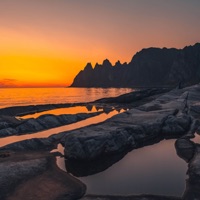 Anthurium - Single - Mshvidi, Satno & Gluvi