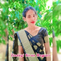 Zindagi Biran Nagpuri (feat. Nisha Lakra 4U) - Single - Pawan Roy
