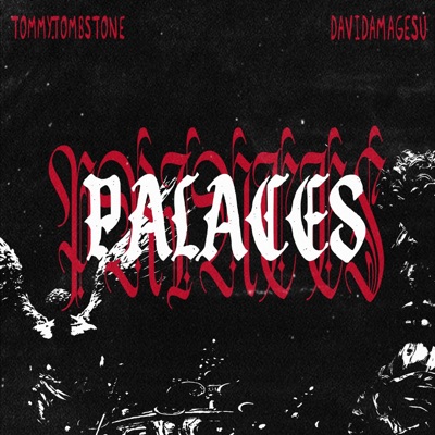 PRINCES X PALACES (feat. DAVIDAMAGESU) - Single