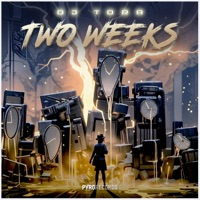 Two Weeks (Mixes) - Single - DJ Tora