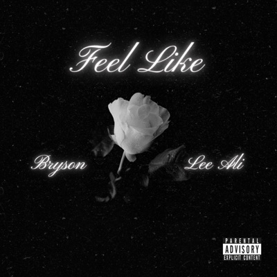Feel Like (feat. Lee Ali & Max C) - Single