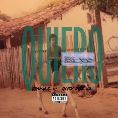 SI YO QUIERO (feat. ALEX JRZ22 & JMENDEZ) - Single