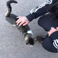 Xuxetumare de 100pre - Sabandijah