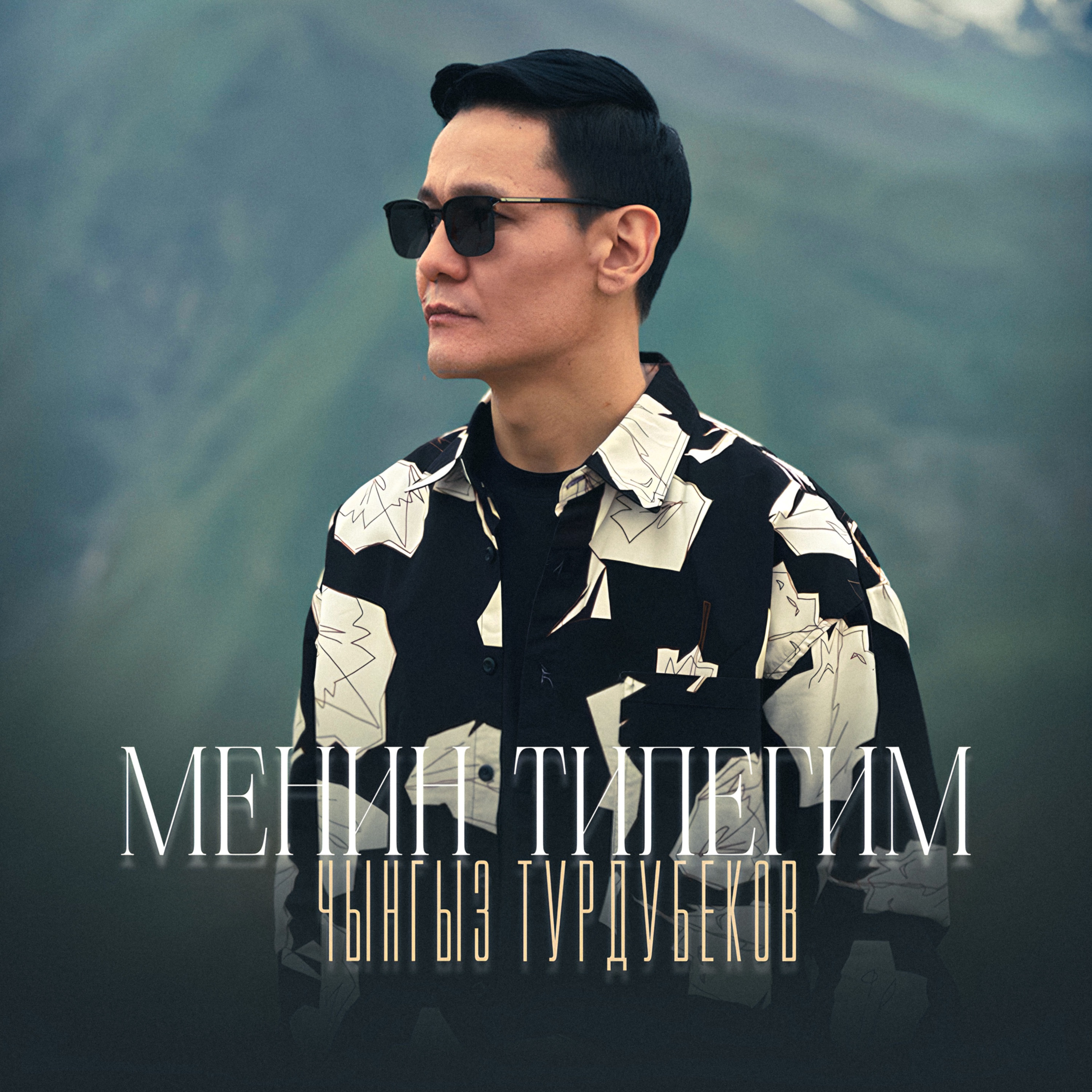 Менин тилегим - Single