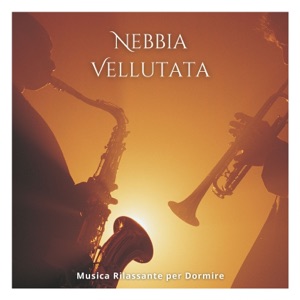Nebbia Vellutata: Playlist del Sonno