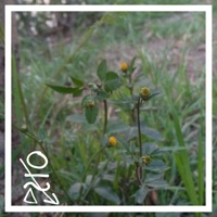 Iterum - Single - Etnad AlterEgo