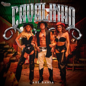 Axe Bahia - Cavalinho - Line Dance Choreographer