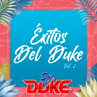 Mis Cevichito — Son del Duke
