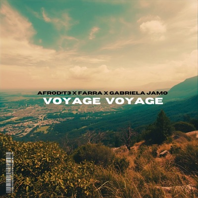 Voyage Voyage - Single