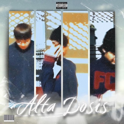 ALTA DOSIS (feat. Hateutomi & homesick) - Single