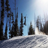 FLOW (feat. BAGUETTE, TACOCAT, MATTIAS & JOBO) - Single - Not Joking