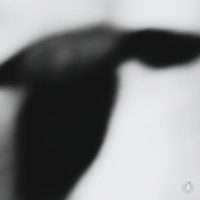 Xaven - Single - Status Zero