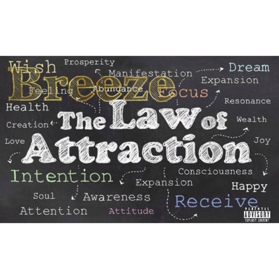 Law of Attaction - Single