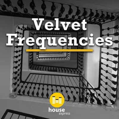 Listen to Velvet Frequencies by Various Artists