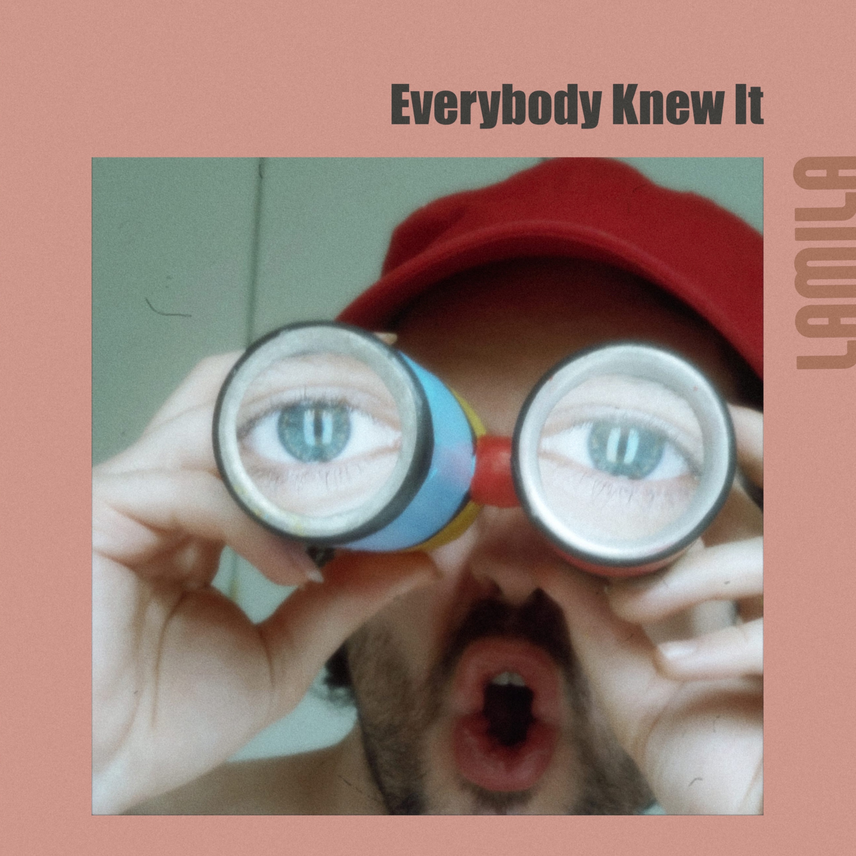 Everybody Knew It - Single